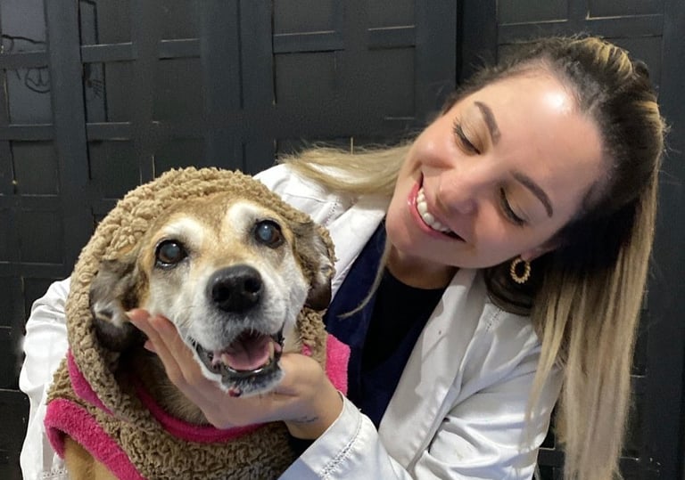 Veterinária em três lagoas