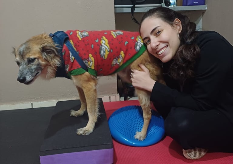 Veterinária em três lagoas