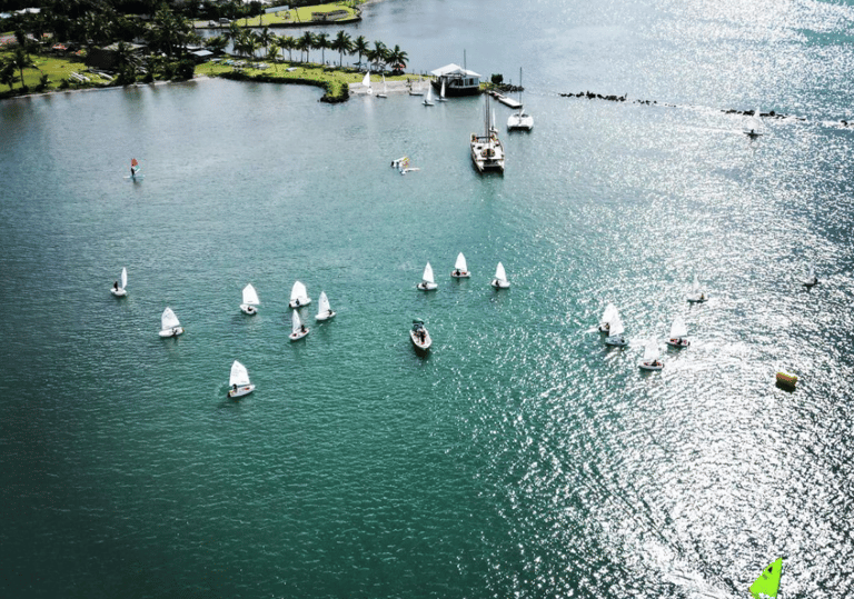 a group of sailboats sailing on the water