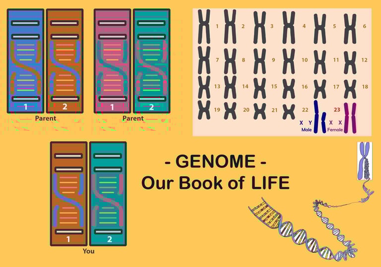 Genome