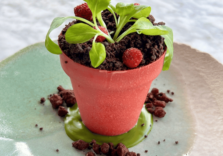 a dessert  that looks like a flower pot