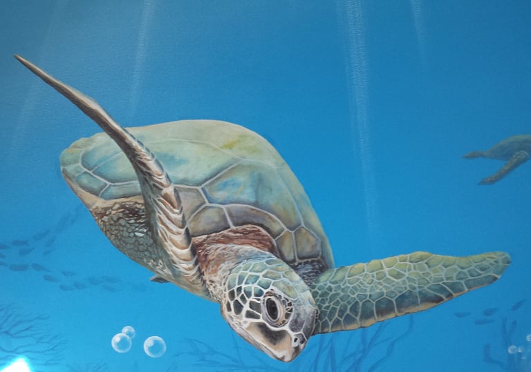 Détail d'une fresque de chambre d'enfant: une tortue de mer nage dans les fonds marins. Orgelet, 39.