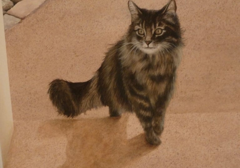 Détail d'une peinture murale: un chat à poils long marche face à nous. Arinthod, Jura 39.