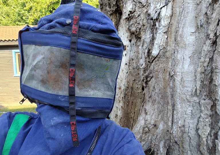 technicien de dezinsect corse en combinaison pour traitement nid de frelons