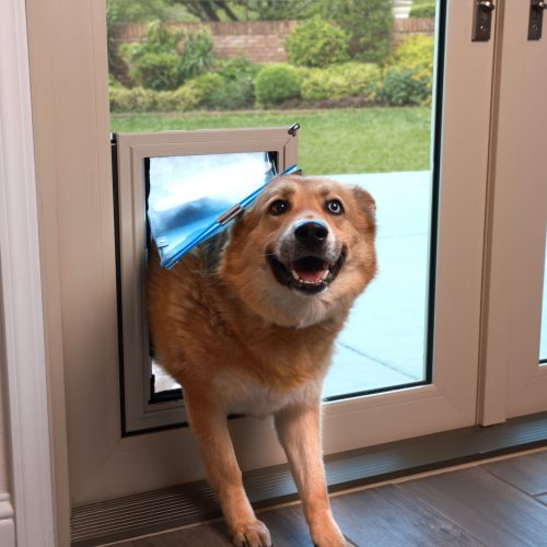 Patio Door Pet Door Custom Patio Door