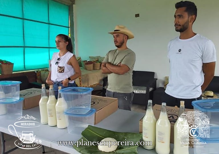 tour lechero pereira