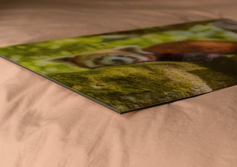 GalleryPrint