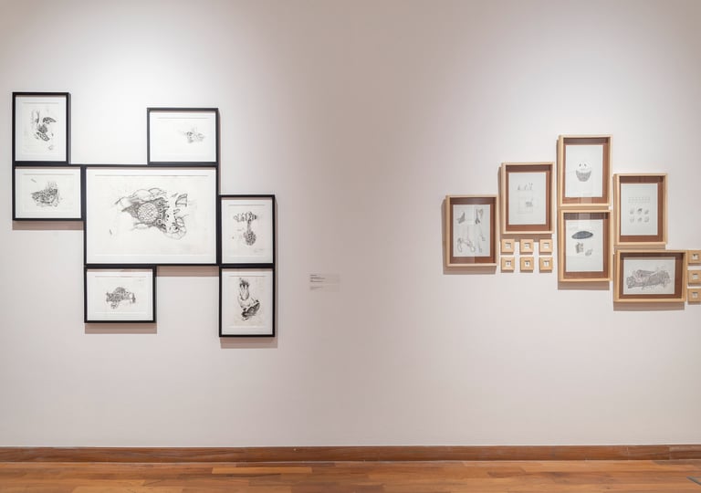 Políptico de dibujos en grafito exhibida en la sala del SNAV 2022