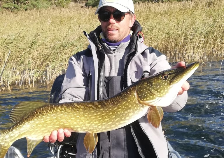 un pêcheur tient un brochet en suède, il pêche le brochet avec fishing escape sweden. 