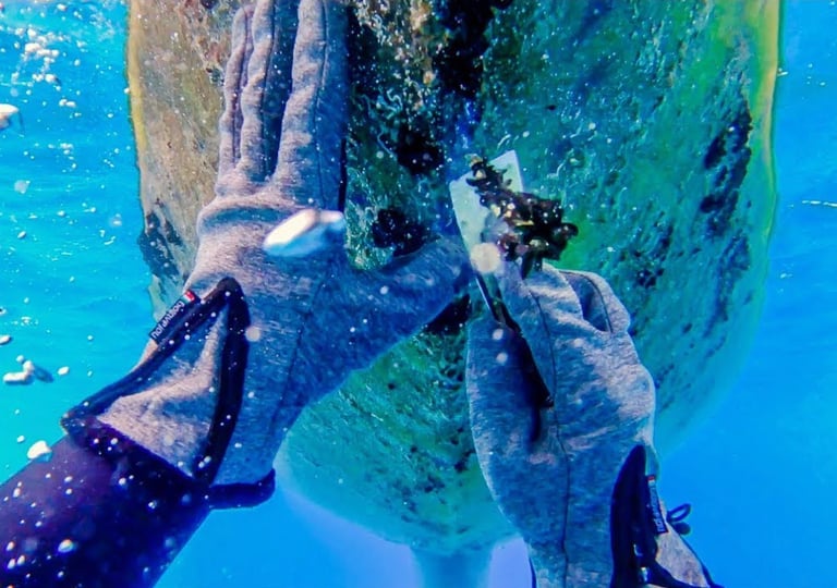 Florida boat hull cleaning diving services Sarasota Bradenton St Petersburg