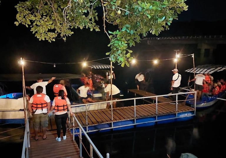 Firefly watching Puerto Princesa Palawan