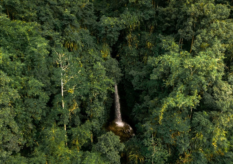 Dhami Falls, Bich Kagay