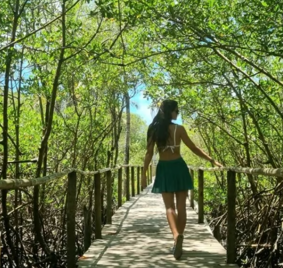 transfer para trancoso