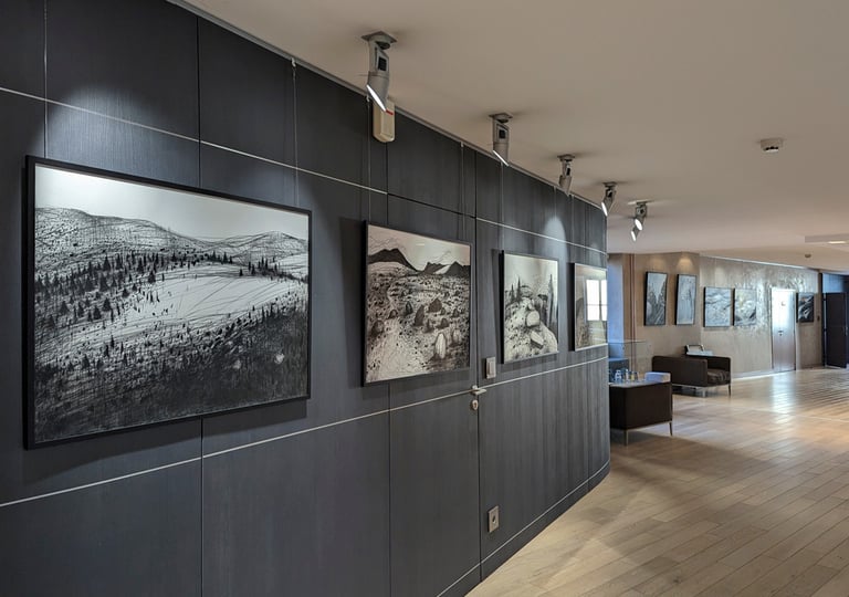 Exposition de vincent ganaye au Conseil départemental des Vosges / 2023