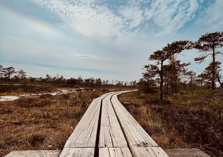 A picture of a pathway: a symbolism of one's journey in therapy.