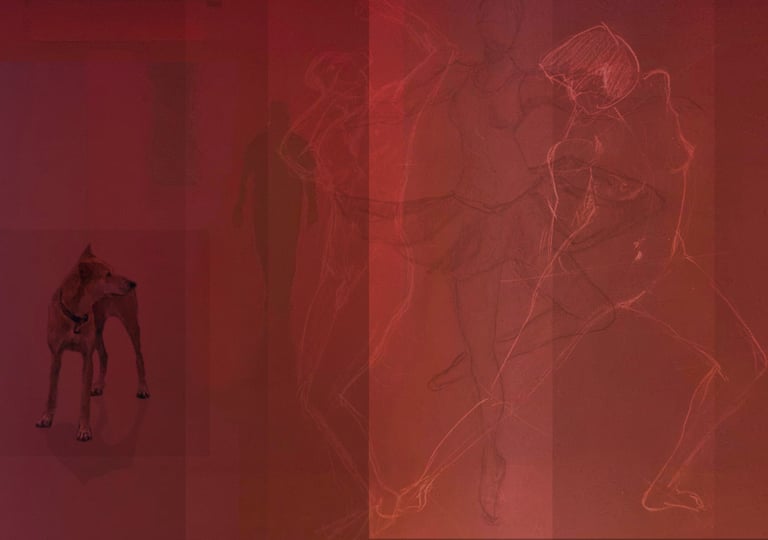 Shovelling Son Music on Spotify