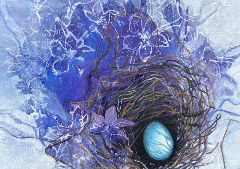 Sialia mexicana nest (Collected)