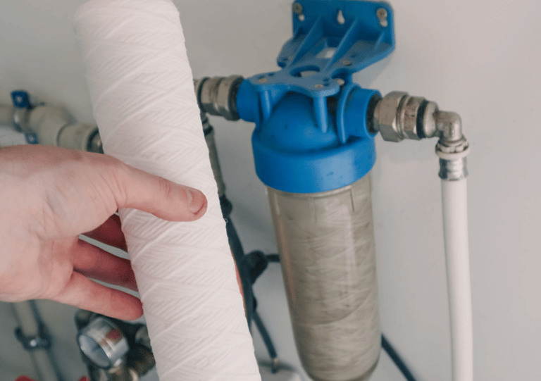 a person holding a roll of toilet paper with a roll of toilet paper