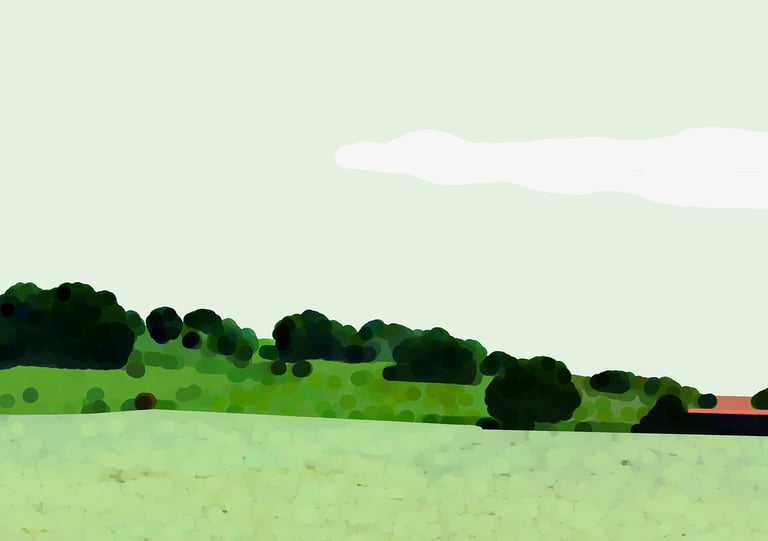 a cowgirl is standing in a field