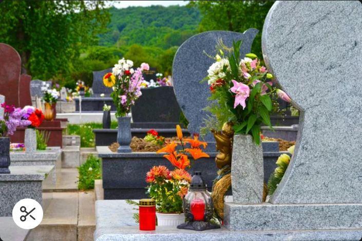 Entretien, nettoyage soigné. Choisissez la prestation qui vous convient dans la rubrique tarifs