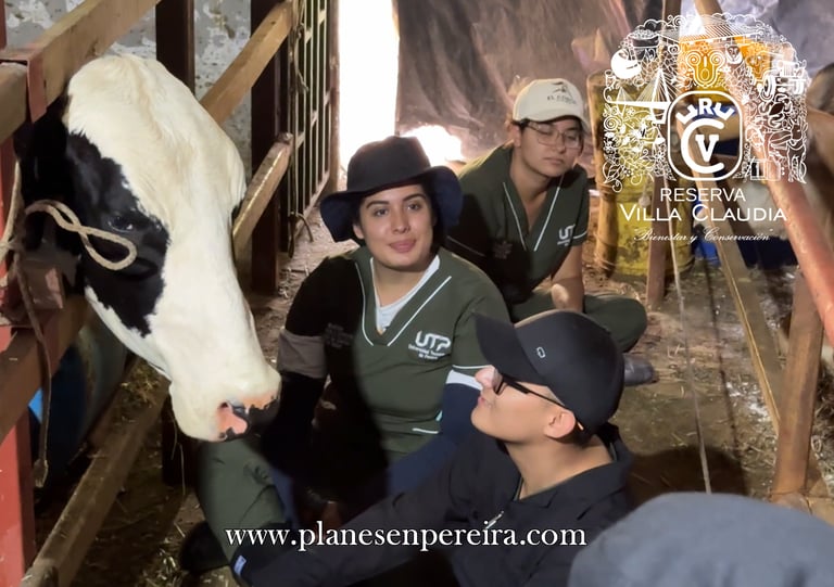 fincas cafeteras pereira