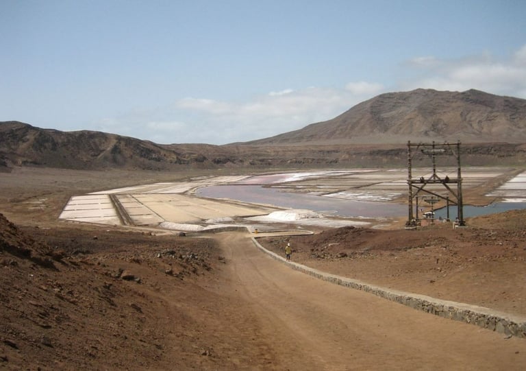 salinas