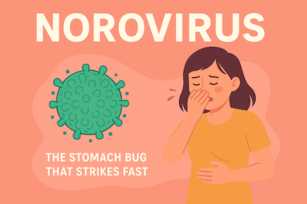 Norovirus or stomach bug 