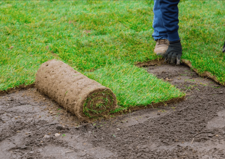 sod installation Baton Rouge 
