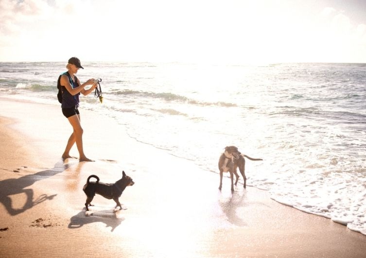 Voyager avec son chien