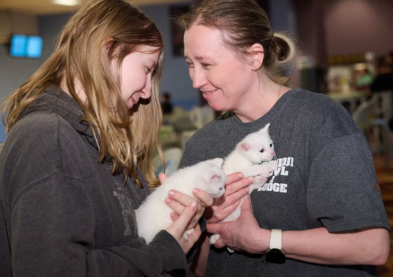 two women holding white kittens in their hands