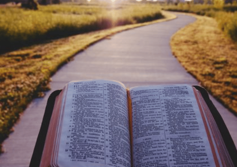 Overcoming the Comparison Trap: Finding Contentment in Christ