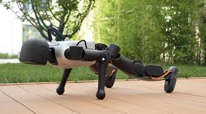 robot in push up position