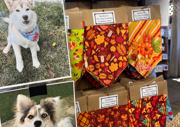 dog-friendly apple hill farms