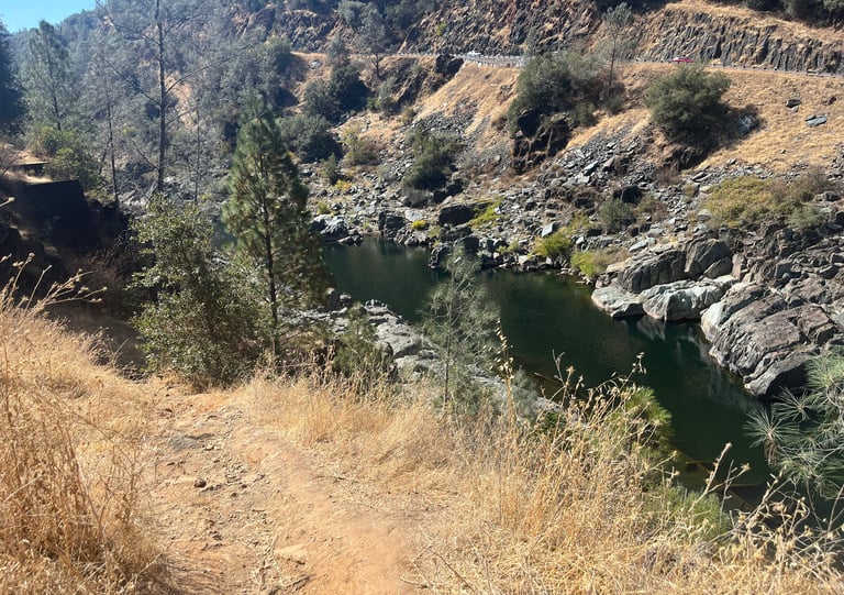 dog-friendly Auburn CA