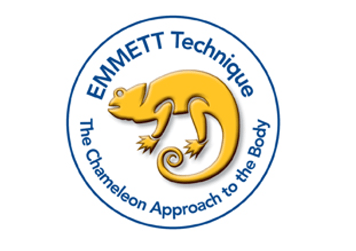 Emmett Technique - The Chameleon Approach to the body