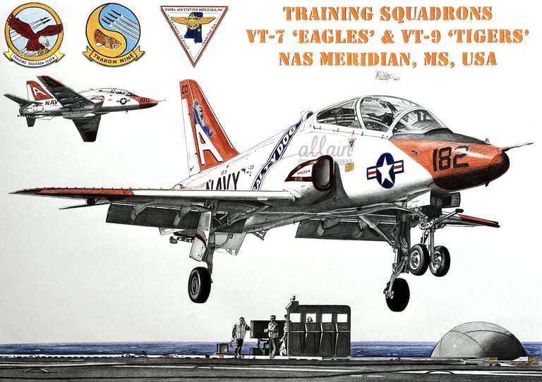 Dessin réaliste en couleurs T45 Goshawk