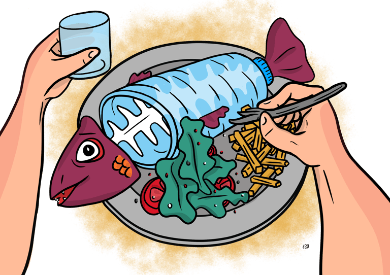 Illustration digitale 1SO IDENTITE - pollution des océans, une bouteille plastique remplace poisson