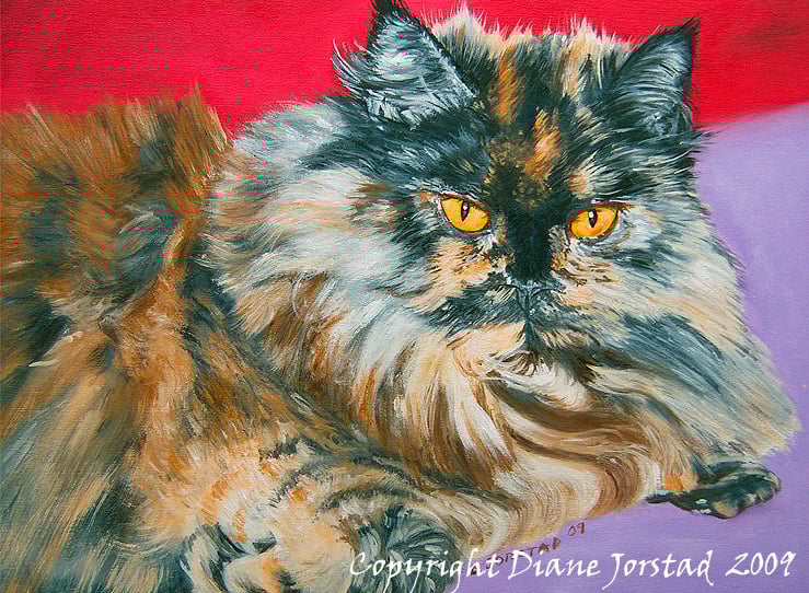 pet  cat portrait artist art painting from your custom photograph acrylic / oil