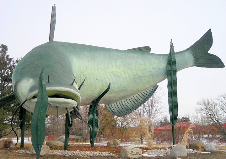 Maitland Shores Dunnville Giant catfish Shore roadside attraction