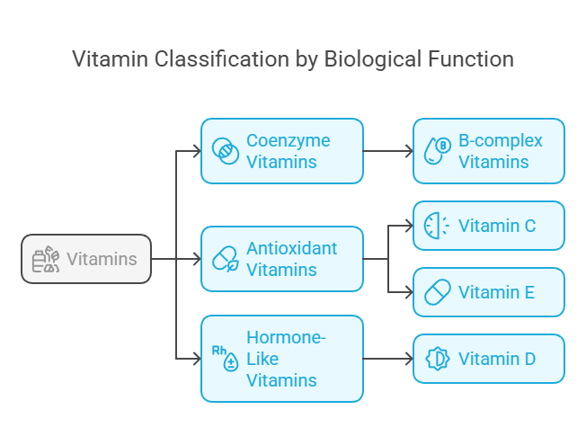 classification based on biological function