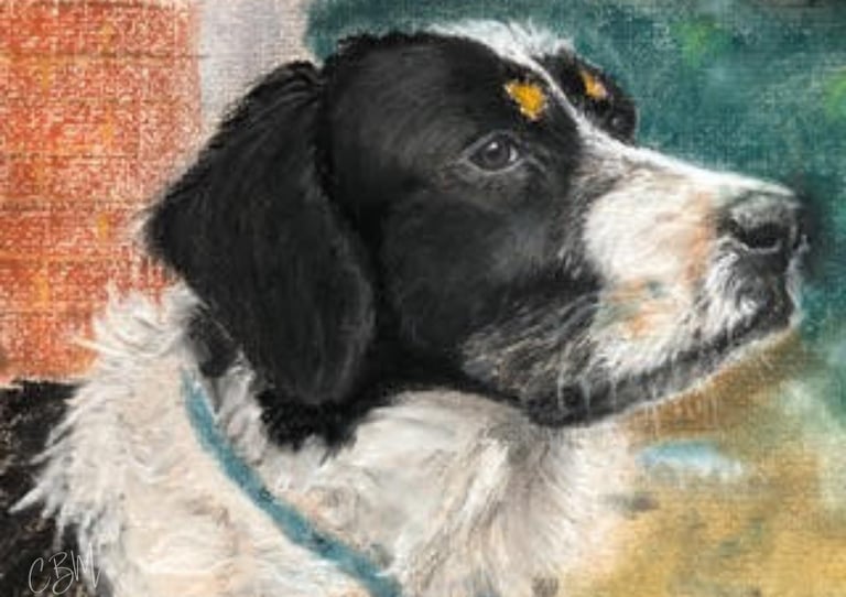CBM Art_Hector_Chalk Pastel Dog artwork
