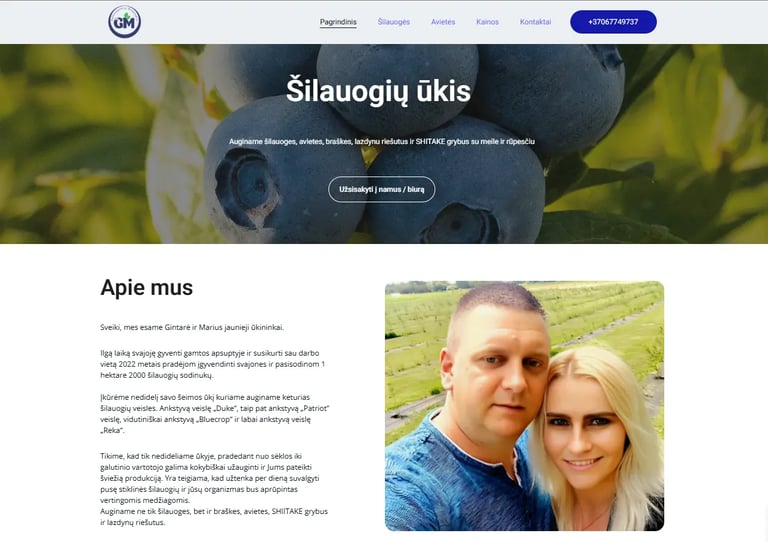 Interneto svetainė Paltanavičių šilauogės
