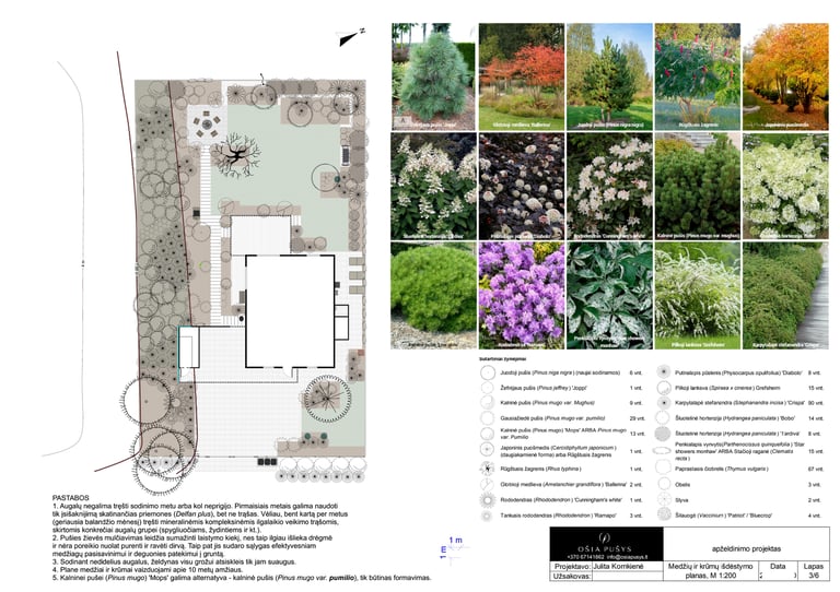 detalus apželdinimo planas