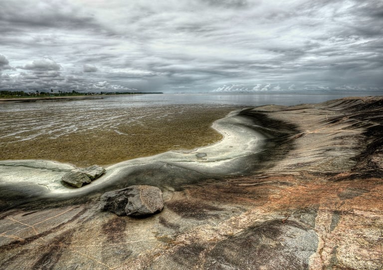 Le littoral guyanais à marée basse