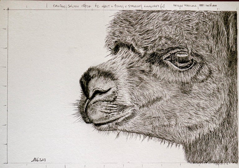 Drawing of
