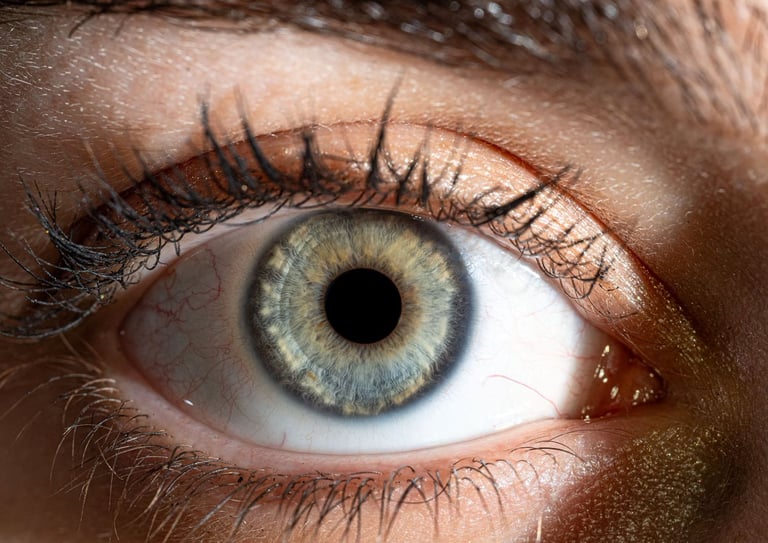 studio photo photohraphie iris narbonne