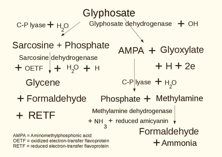 PESTICIDES GLYPHOSATE MÉTABOLITE