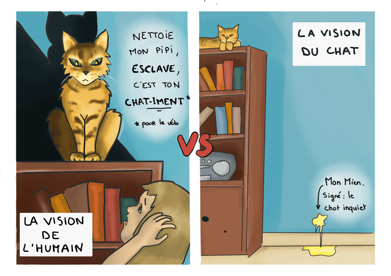 dessin humoristique de la vision des humains vs la vision du chat quand le chat urine hors litière