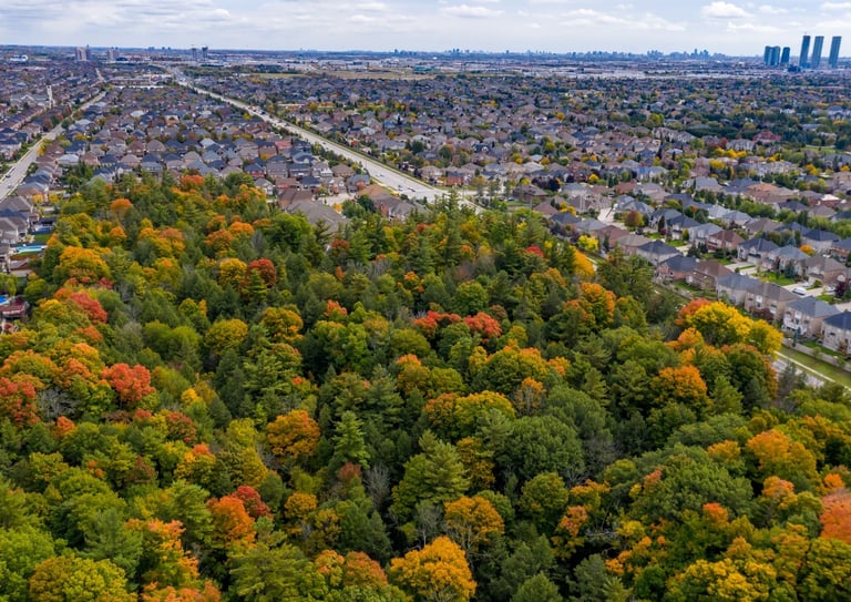 An urban/rural edge surveyed as part of an NHE in York Region. 