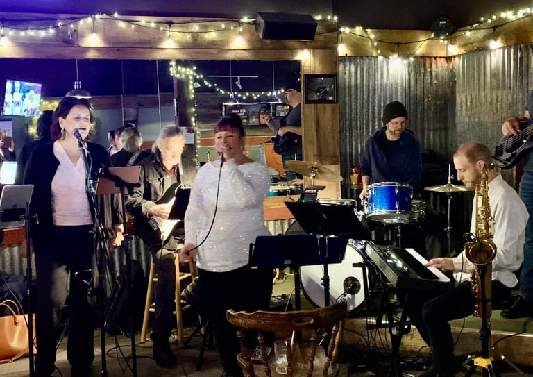 Birds of a feather band performing on stage